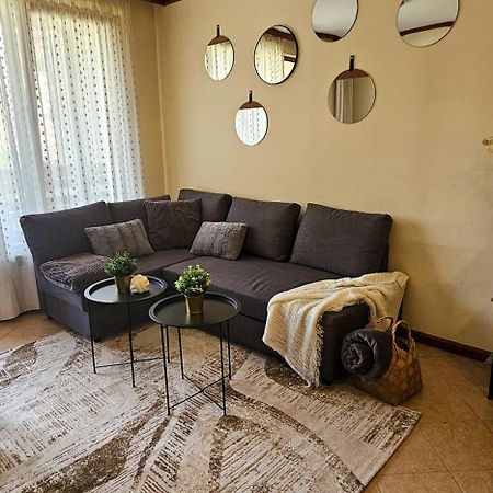 Apartmanica Double Room Apartment With Balcony 101-30 St Ivan Rilski Spa Resort 班斯科 外观 照片